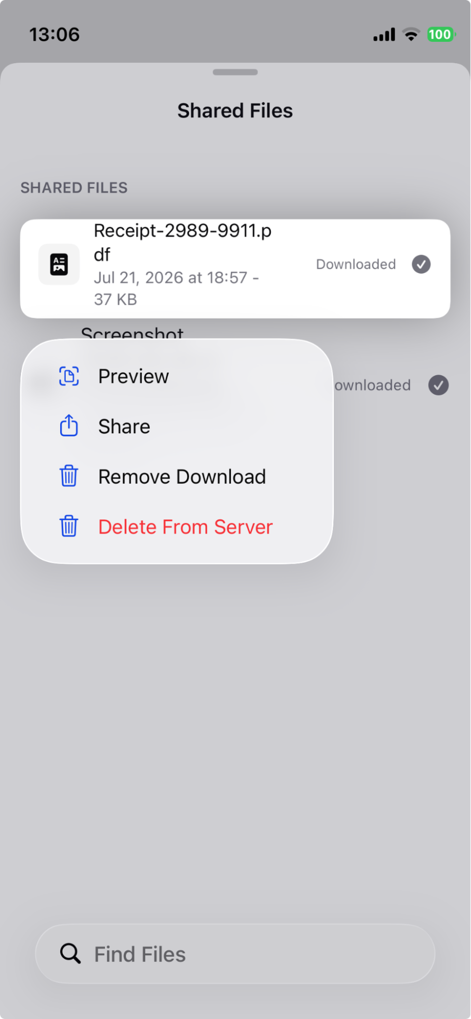 Mobile — long-press a file for Preview, Share, Remove Download, or Delete From Server