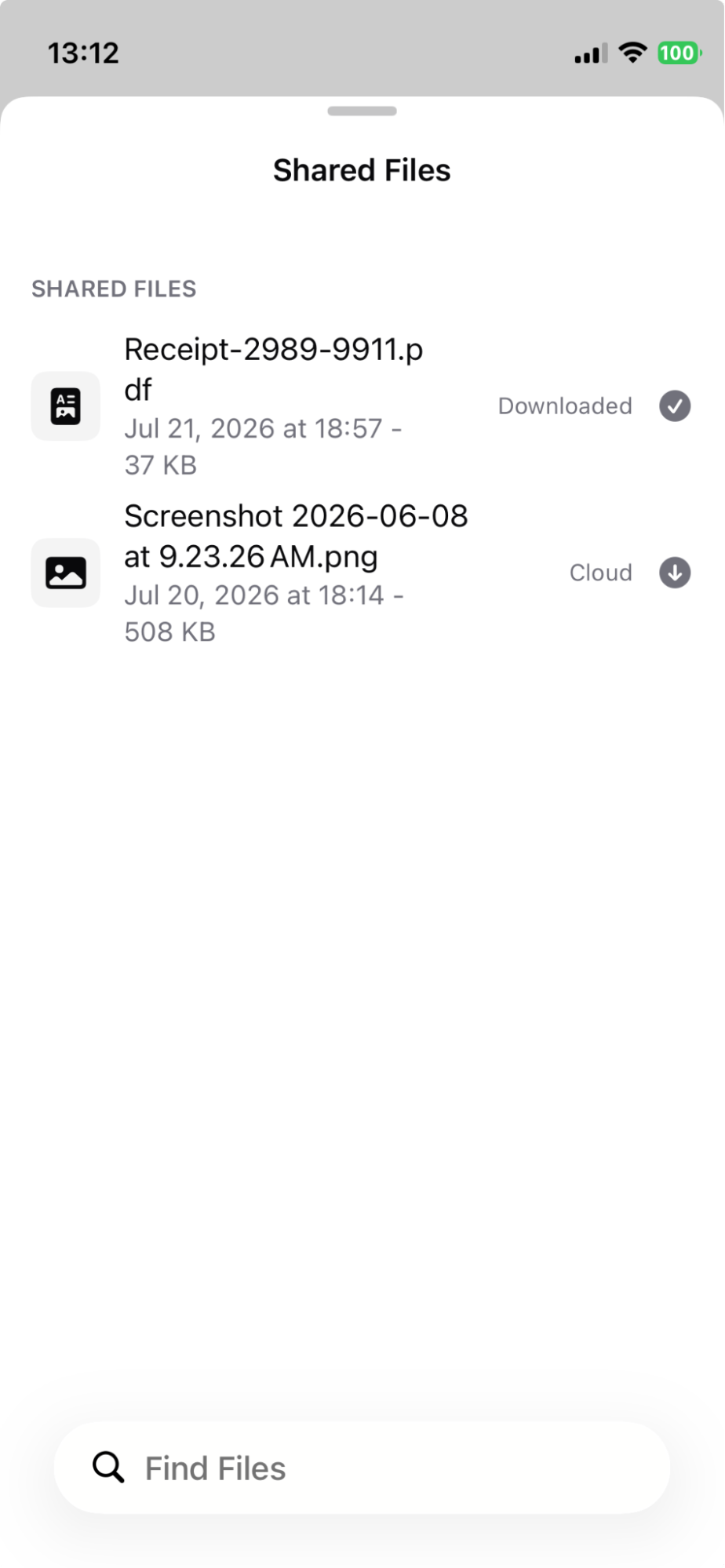 Mobile — Shared Files list showing downloaded and cloud files